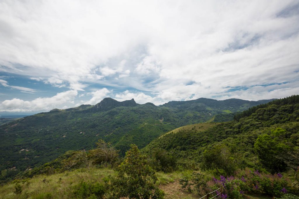 Mirador 12