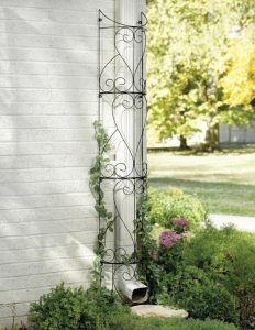 12 ingeniosos trucos de jardinería - Altos del María